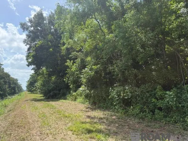 12140 Boudreau St, New Roads, LA 70760 - #3