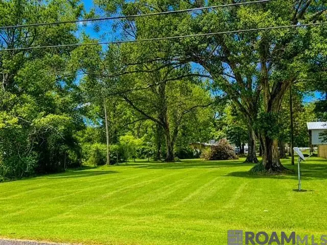 17058 Carpenters Chapel Rd, Prairieville, LA 70769 - #1