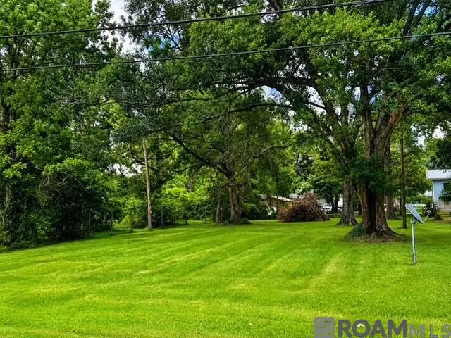 17058 Carpenters Chapel Rd, Prairieville, LA 70769 - #2