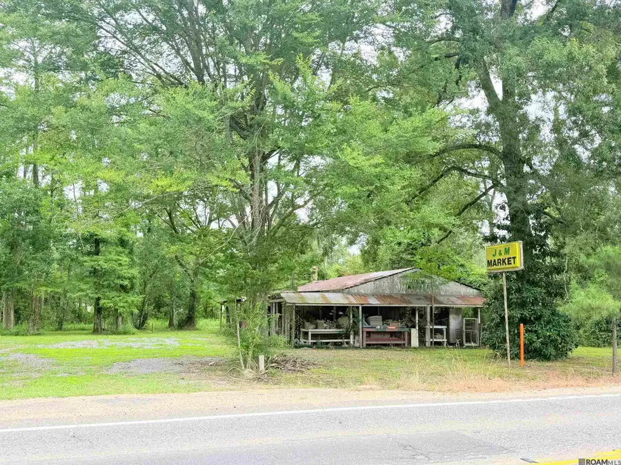 18210 S Highway 16, Port Vincent, LA 70726 - #2