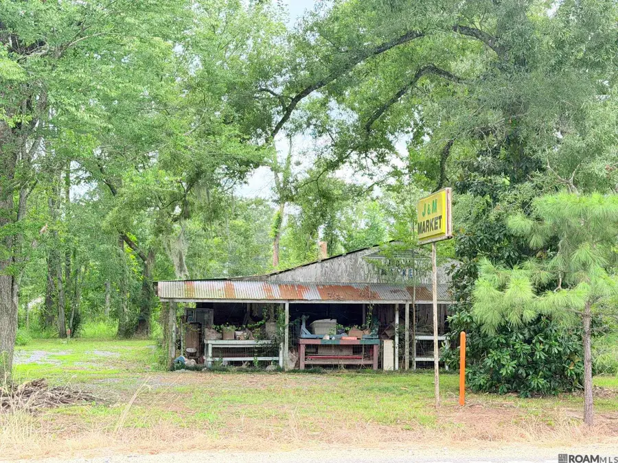 18210 S Highway 16, Port Vincent, LA 70726 - #3