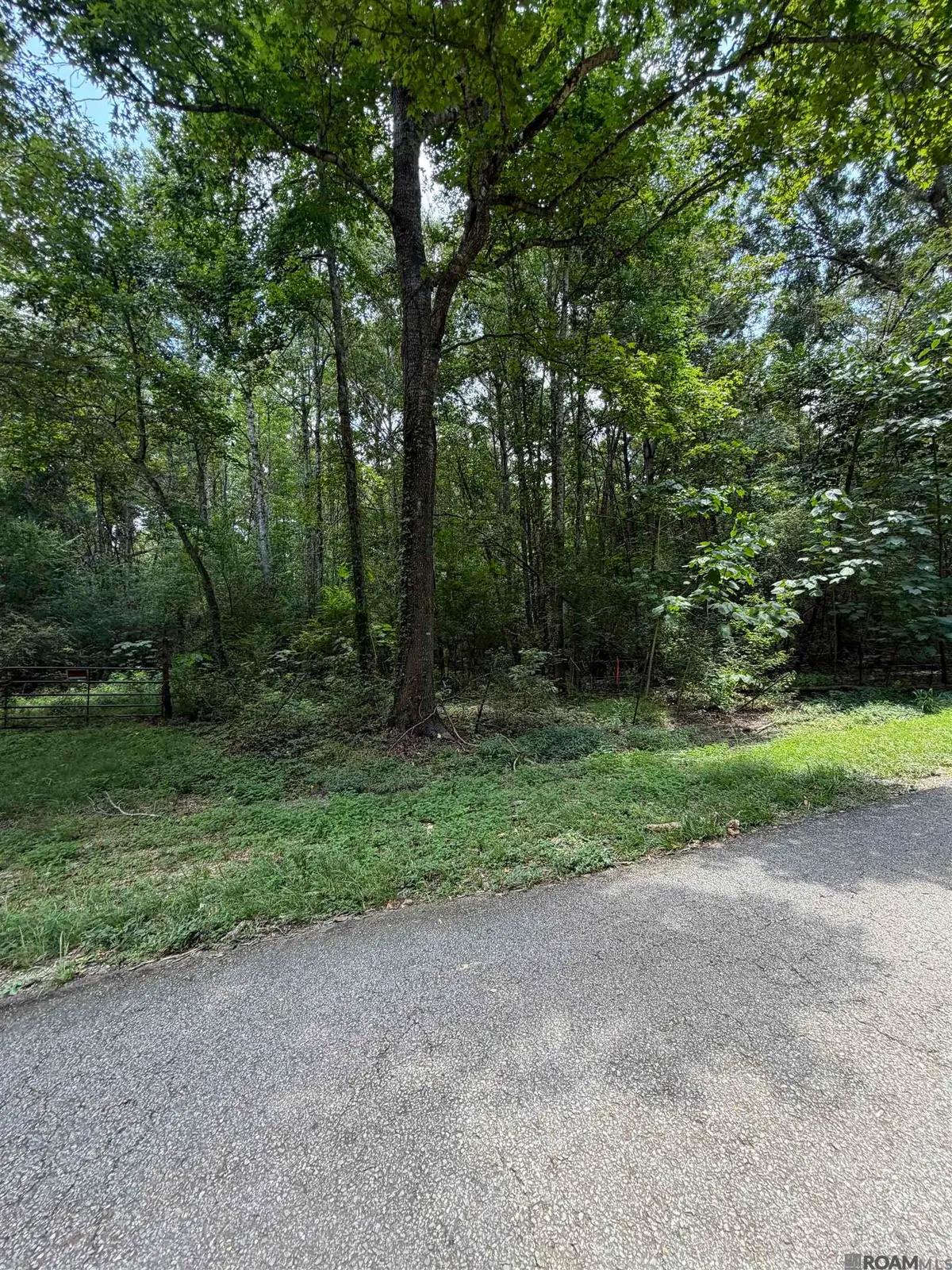 Jones Vaughn Creek Rd, Saint Francisville, LA 70775 - #1