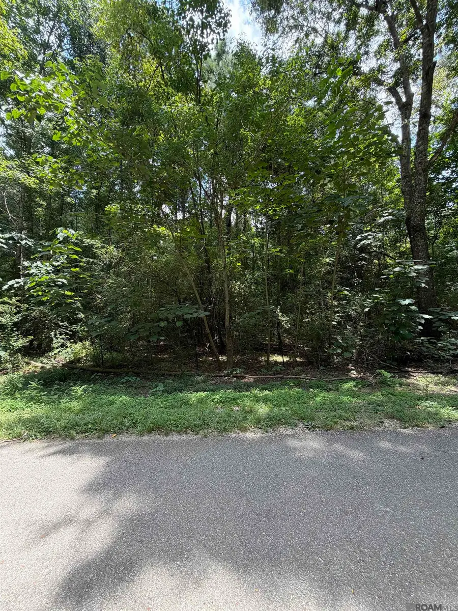 Jones Vaughn Creek Rd, Saint Francisville, LA 70775 - #2