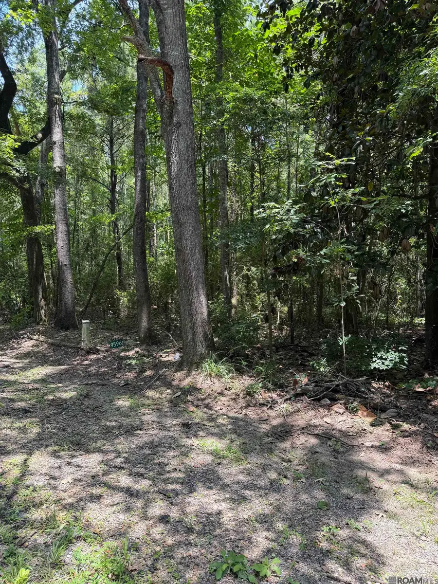 Jones Vaughn Creek Rd, Saint Francisville, LA 70775 - #3