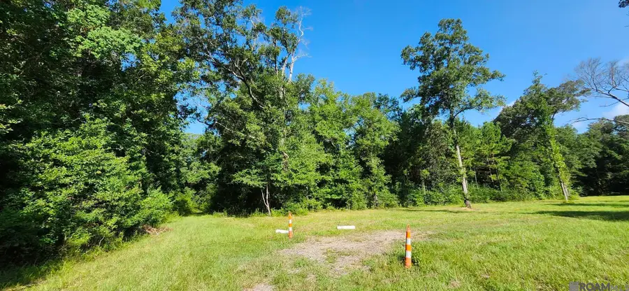 TBD Reames Rd, Zachary, LA 70791 - #3