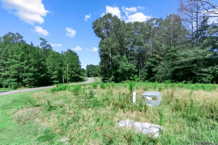 Lots 59 & 60 Oakley Ln, Saint Francisville, LA 70775 - #2