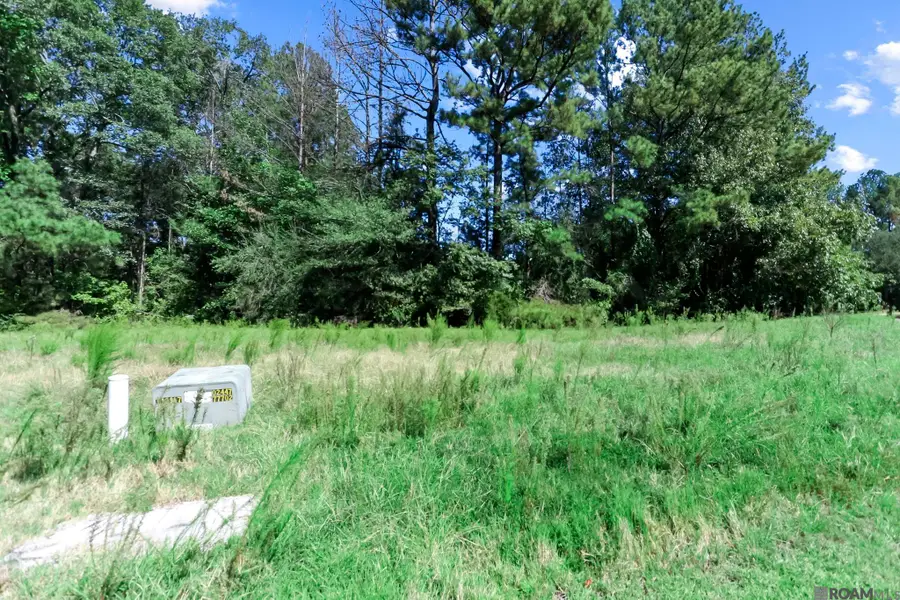 Lots 59 & 60 Oakley Ln, Saint Francisville, LA 70775 - #3
