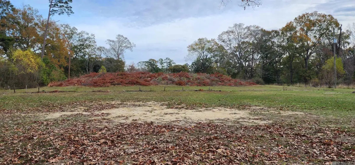 945 S River Rd, Denham Springs, LA 70726 - #1