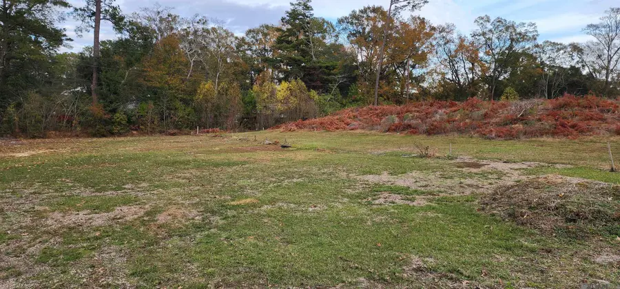 945 S River Rd, Denham Springs, LA 70726 - #3