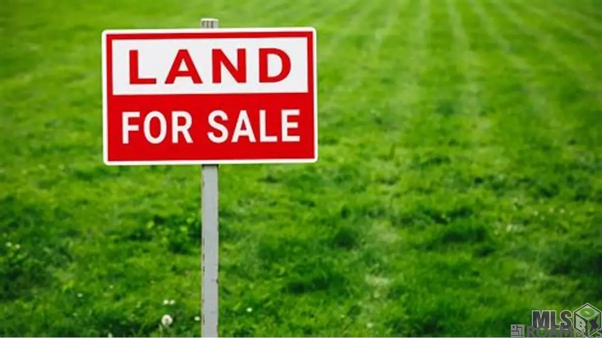 18487 Settlement Trace, Livingston, LA 70754 - #1