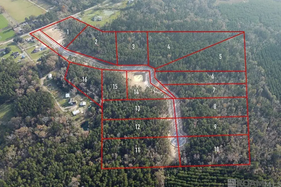 18487 Settlement Trace, Livingston, LA 70754 - #2