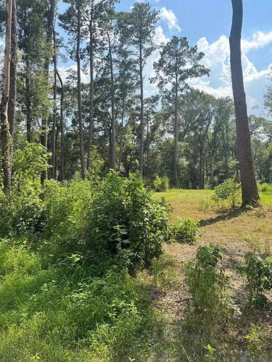 22863 Green Acres Blvd, Denham Springs, LA 70726 - #3
