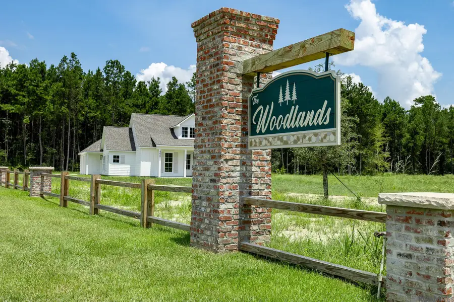 18985 Honey Grove, Livingston, LA 70754 - #2