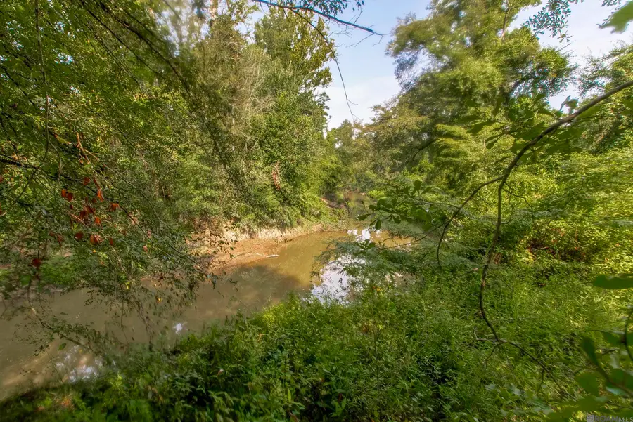 26427 S Satsuma Rd, Livingston, LA 70754 - #3