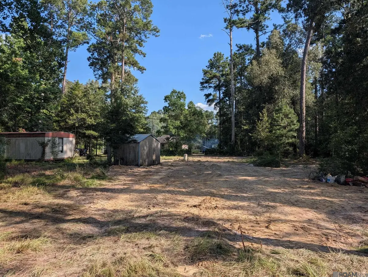 16703 Wildflower Ln, Walker, LA 70785 - #1
