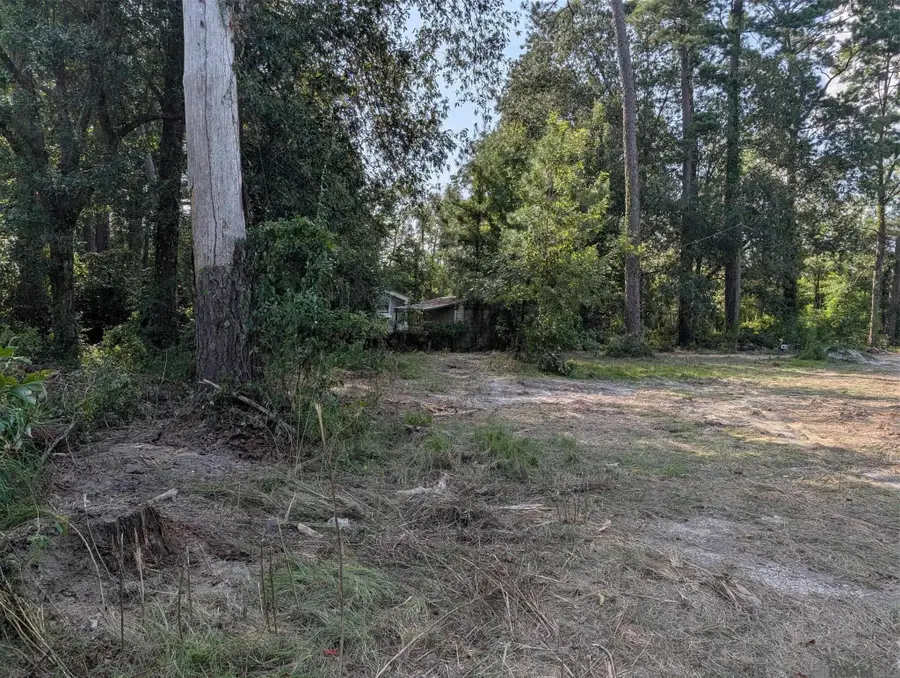 16703 Wildflower Ln, Walker, LA 70785 - #2