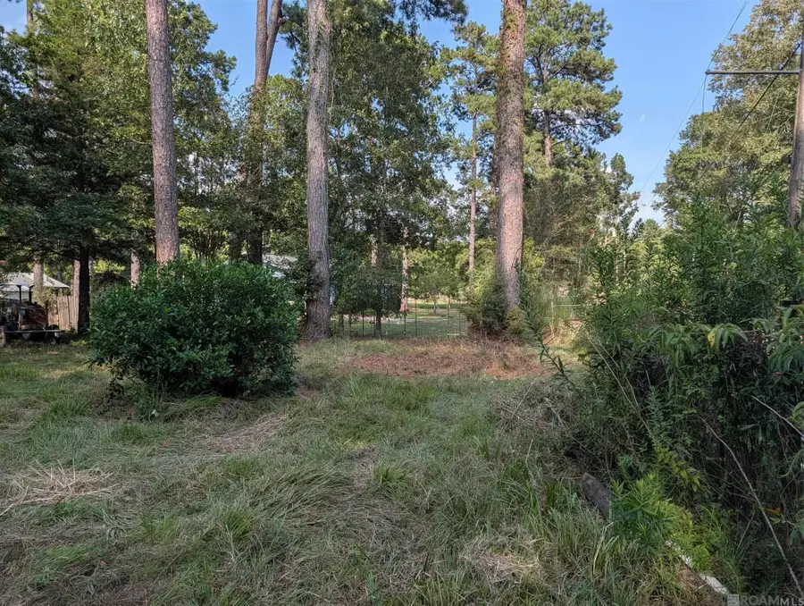 16703 Wildflower Ln, Walker, LA 70785 - #3