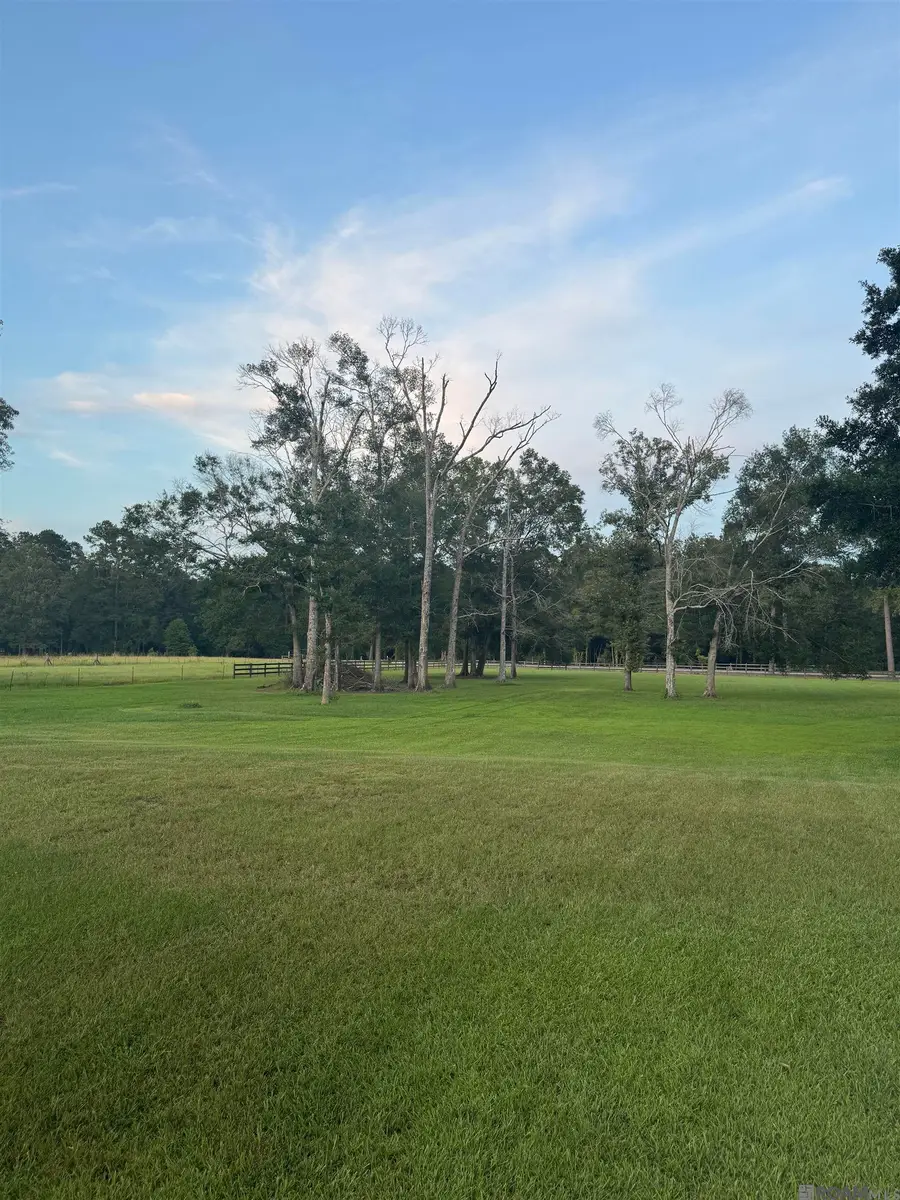 30431 Greenwell Springs Rd, Greenwell Springs, LA 70739 - #2