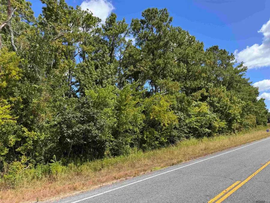 TBD La Hwy 22, Springfield, LA 70462 - #2