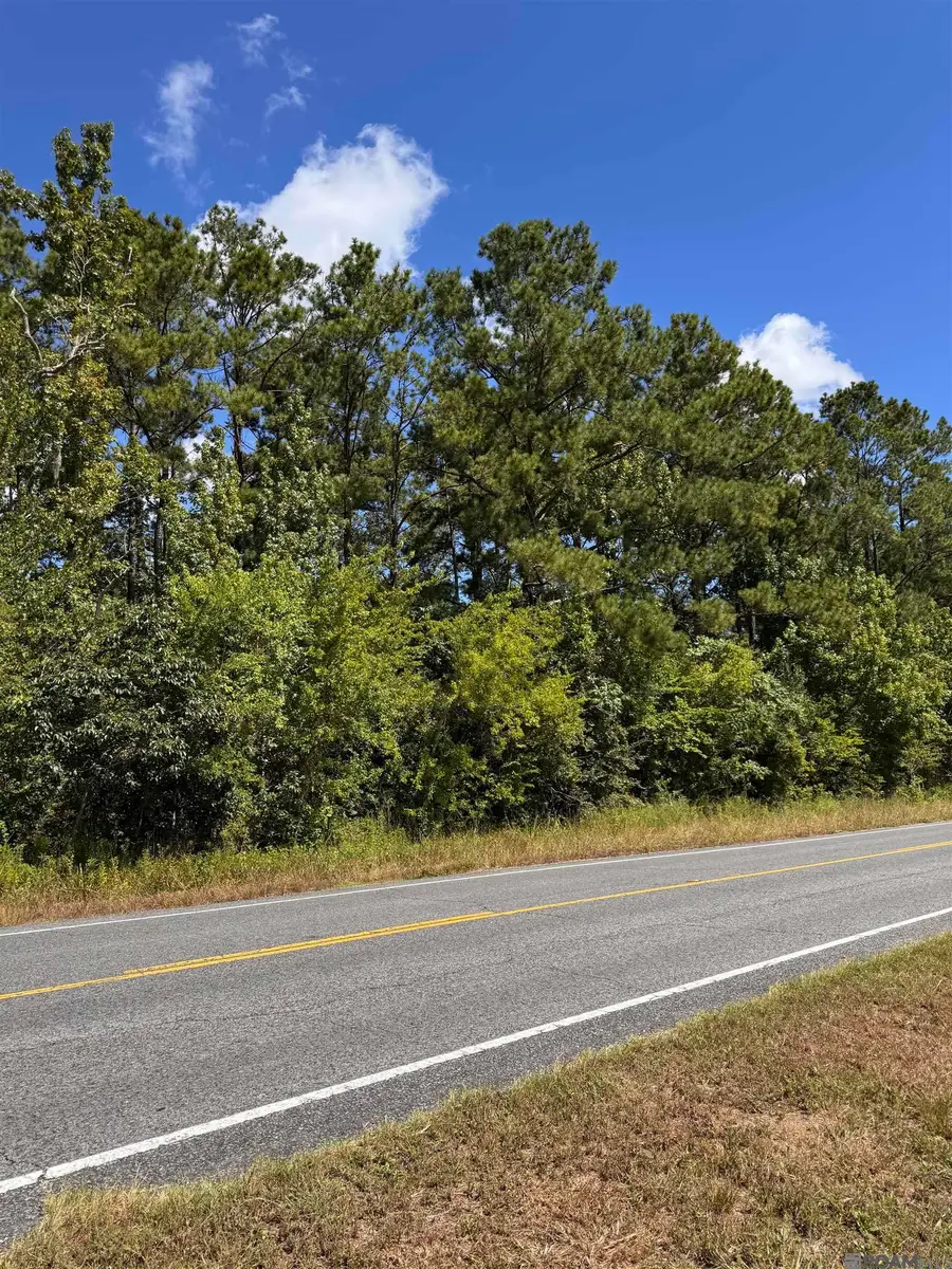 TBD La Hwy 22, Springfield, LA 70462 - #3
