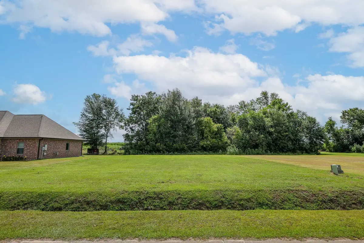 209 Le Belle Maison Drive, Raceland, LA 70394 - #1