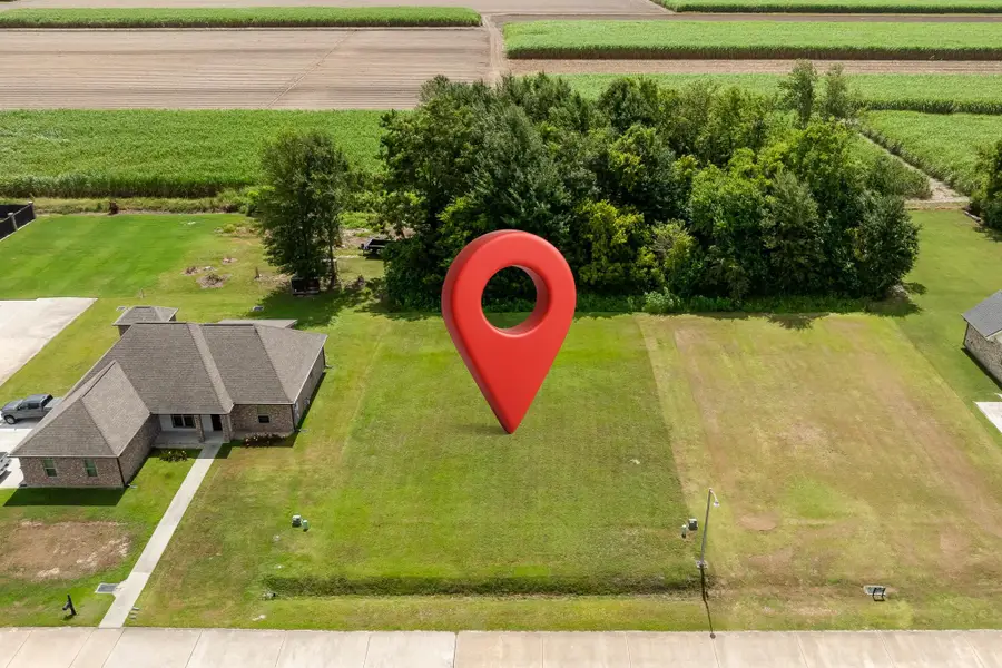 209 Le Belle Maison Drive, Raceland, LA 70394 - #3
