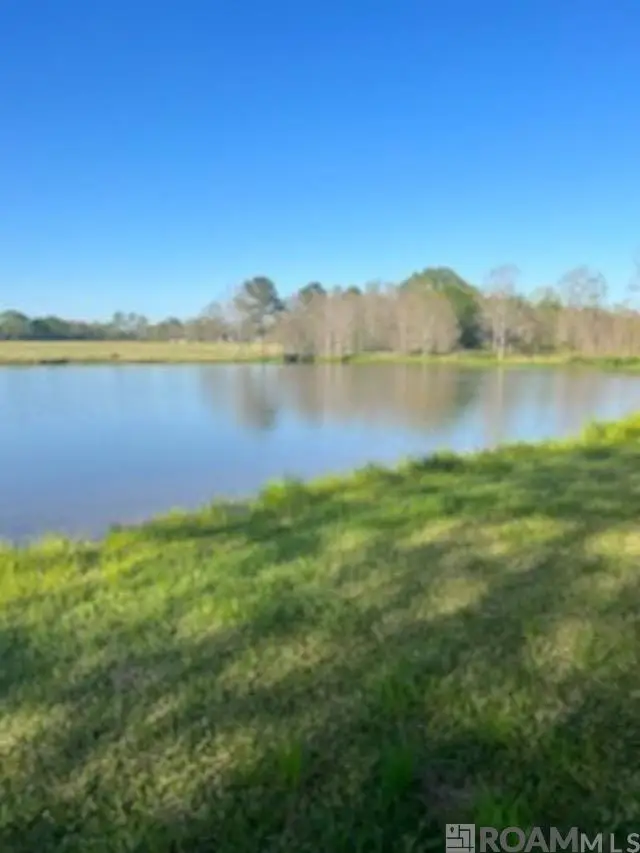 TBD La Hwy 958, Slaughter, LA 70777 - #1