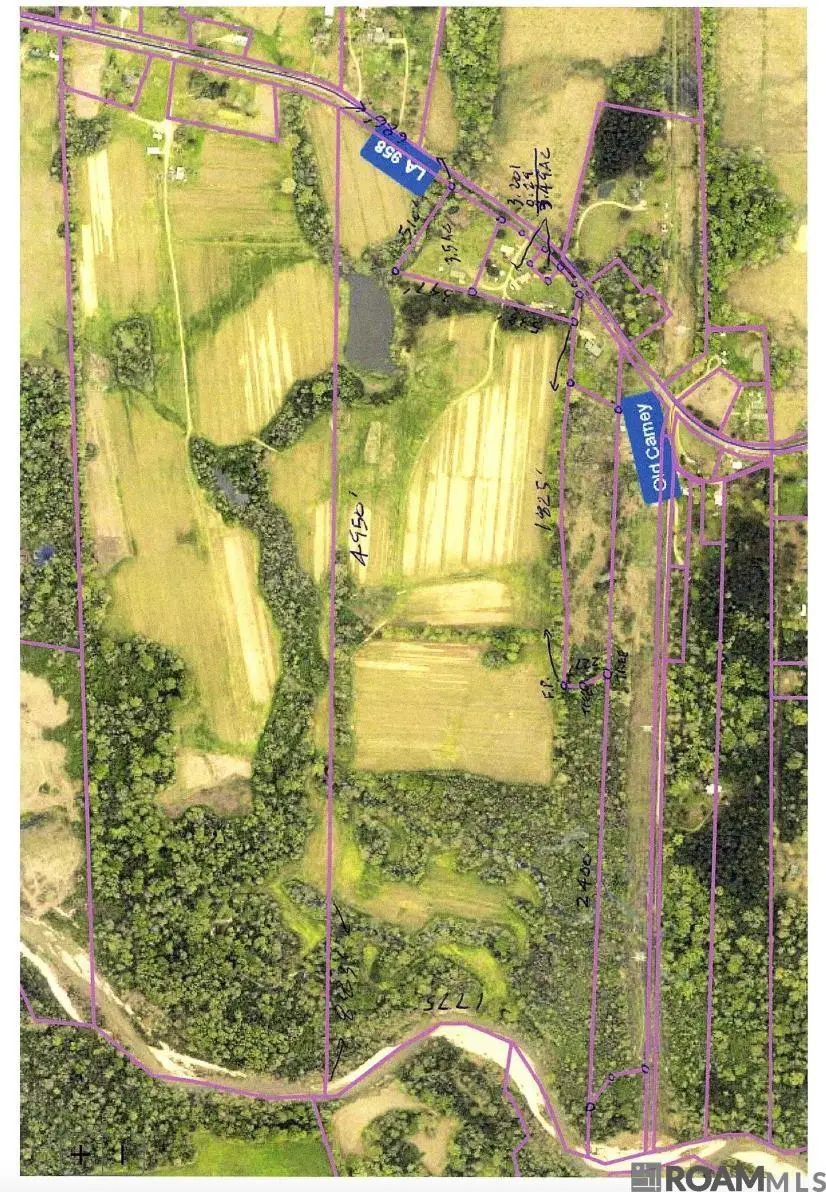 TBD La Hwy 958, Slaughter, LA 70777 - #3