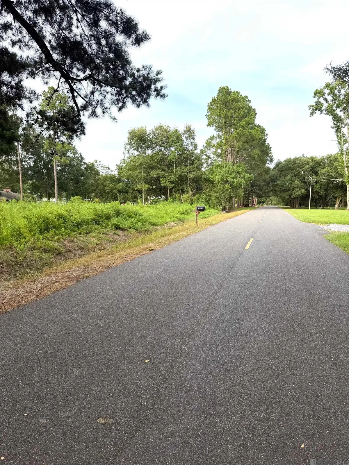 TBD David Dr, Prairieville, LA 70769 - #1
