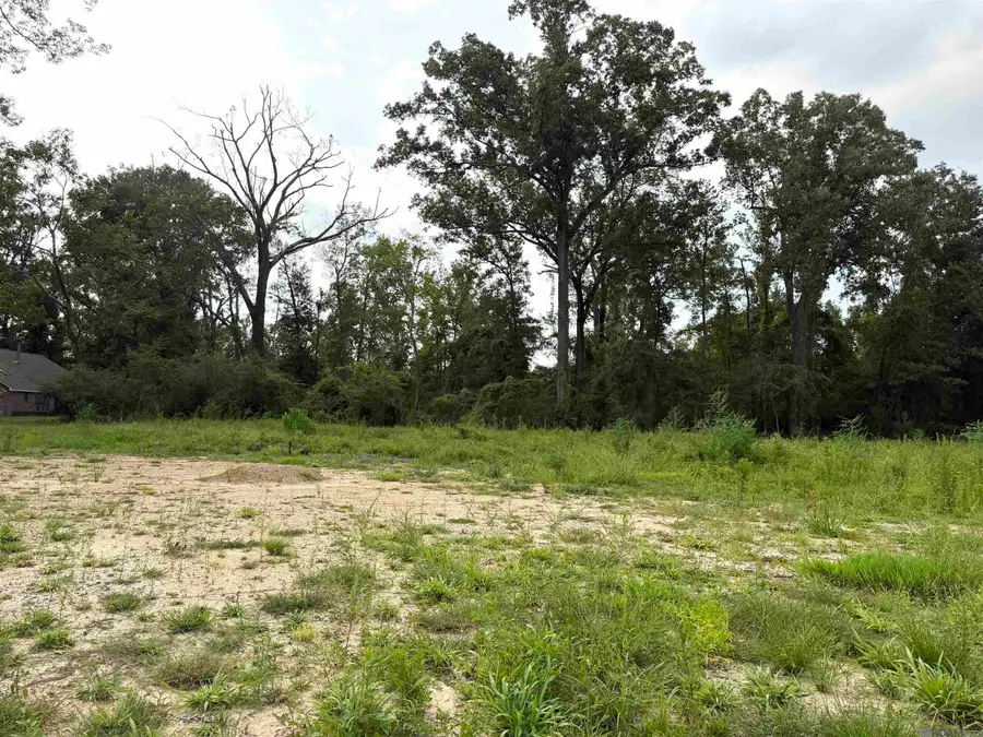TBD David Dr, Prairieville, LA 70769 - #2