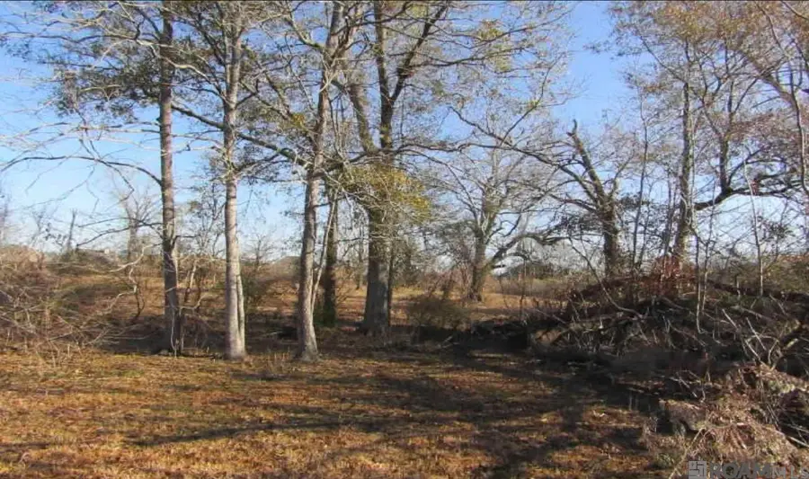 37160 Miller Rd, Prairieville, LA 70769 - #3