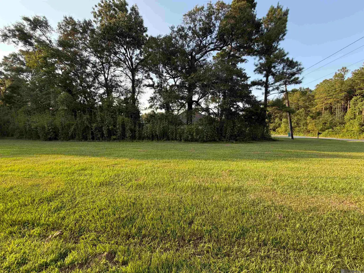 Tract 3-A-1 Dunn Rd, Denham Springs, LA 70726 - #1