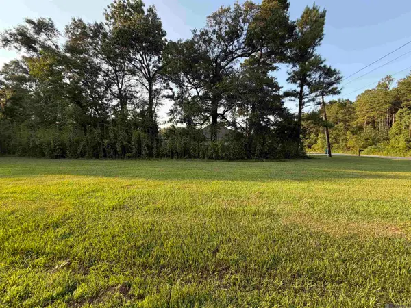 Tract 3-A-1 Dunn Rd, Denham Springs, LA 70726