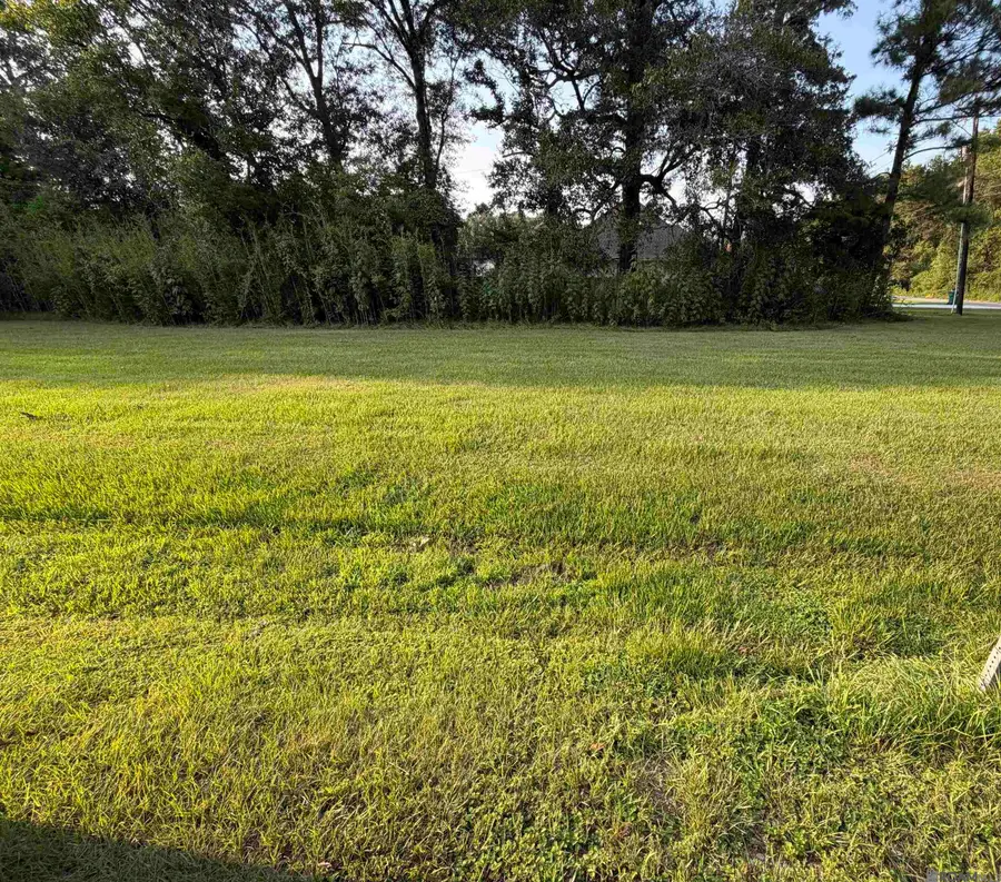 Tract 3-A-1 Dunn Rd, Denham Springs, LA 70726 - #2