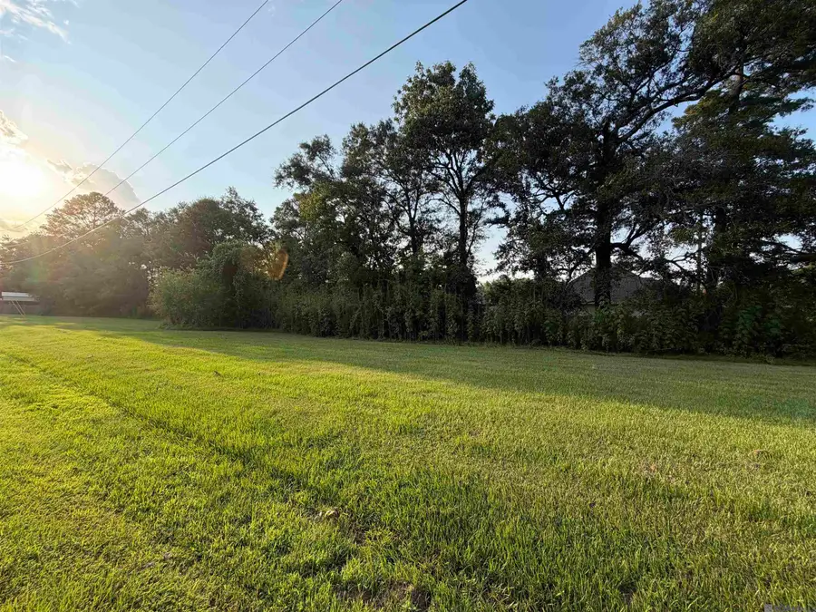 Tract 3-A-1 Dunn Rd, Denham Springs, LA 70726 - #3