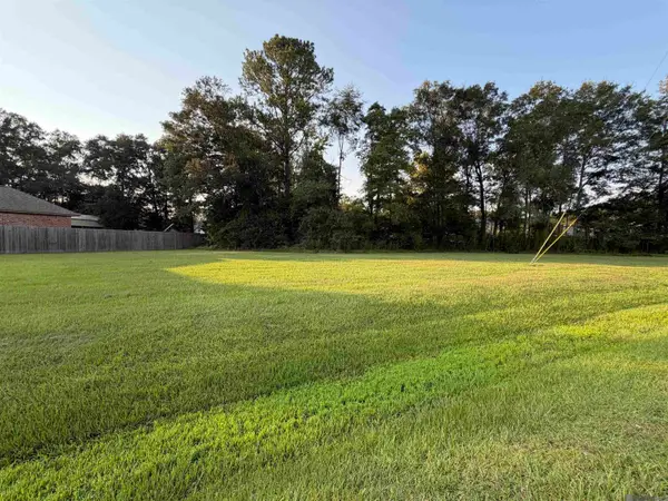 Tract 3-A-2 Dunn Rd, Denham Springs, LA 70726
