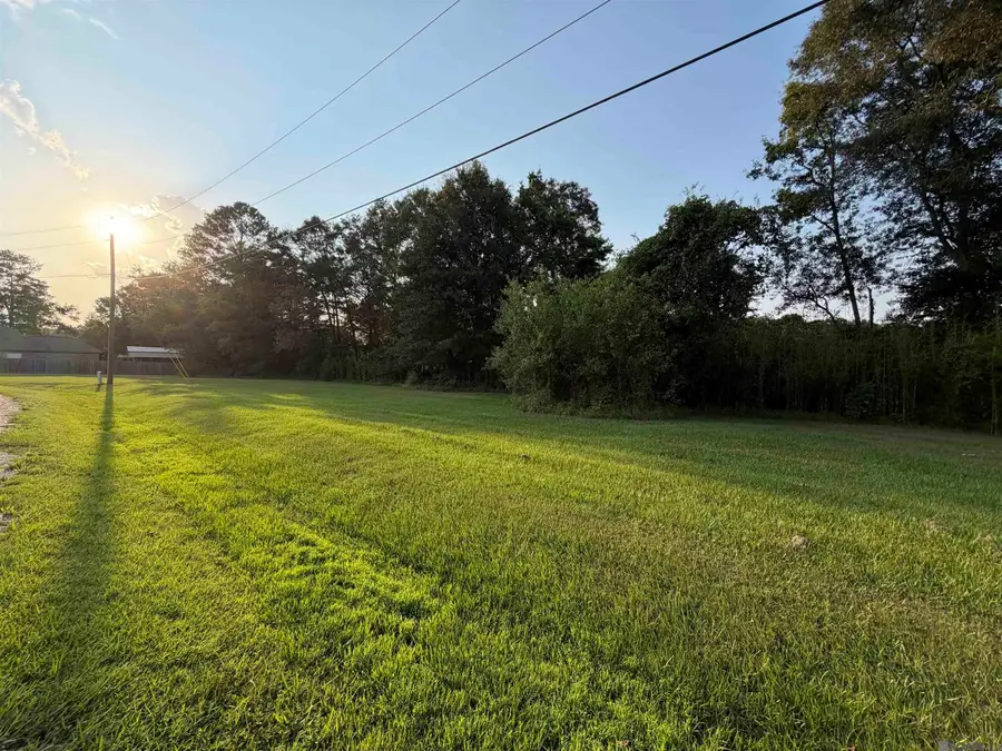 Tract 3-A-2 Dunn Rd, Denham Springs, LA 70726 - #2