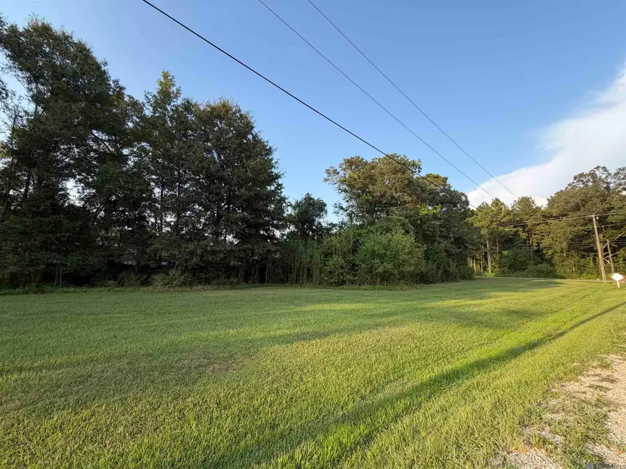 Tract 3-A-2 Dunn Rd, Denham Springs, LA 70726 - #3