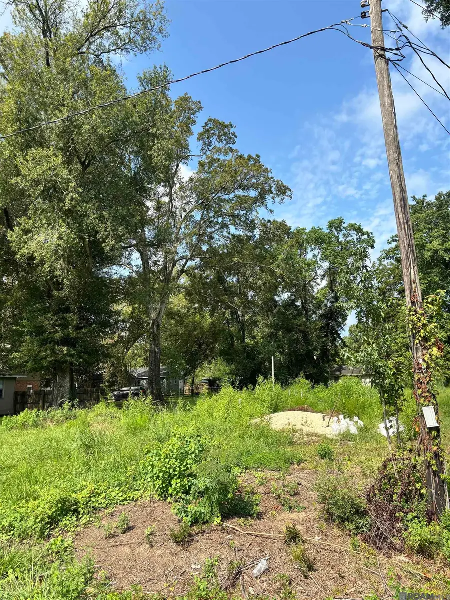 1621 Camelia Ave, Baker, LA 70714 - #3