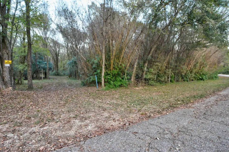9255 Old Comite Drive, Central, LA 70714 - #2