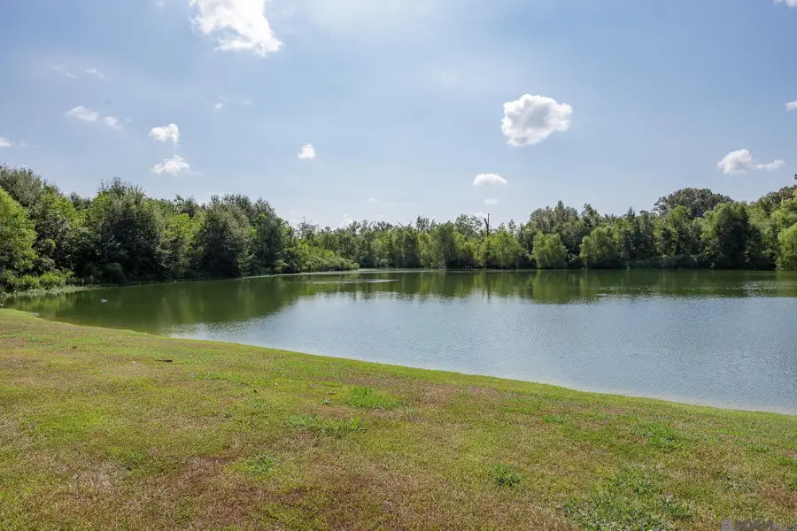 42138 Eagles View Ln, Prairieville, LA 70769 - #2