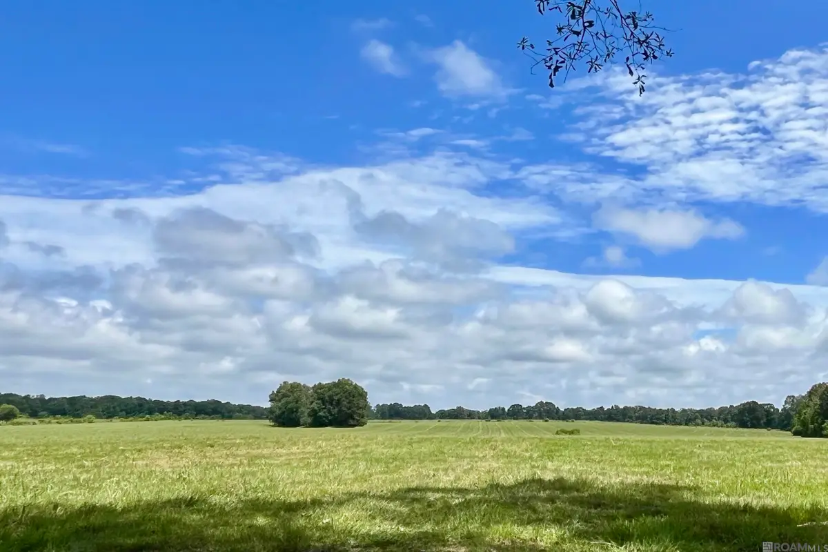 03 Hokaday Rd, Slaughter, LA 70777 - #1