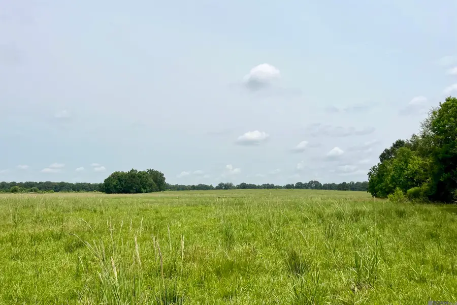 03 Hokaday Rd, Slaughter, LA 70777 - #3