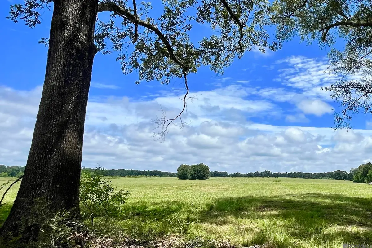 04 Hokaday Rd, Slaughter, LA 70777 - #1