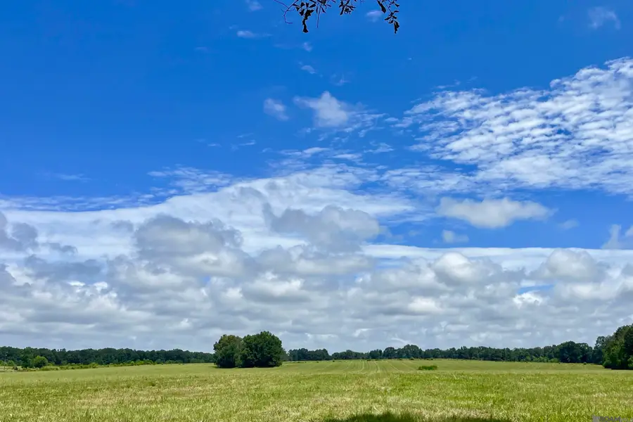 04 Hokaday Rd, Slaughter, LA 70777 - #2