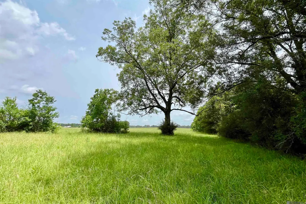 05 Hokaday Rd, Slaughter, LA 70777 - #1