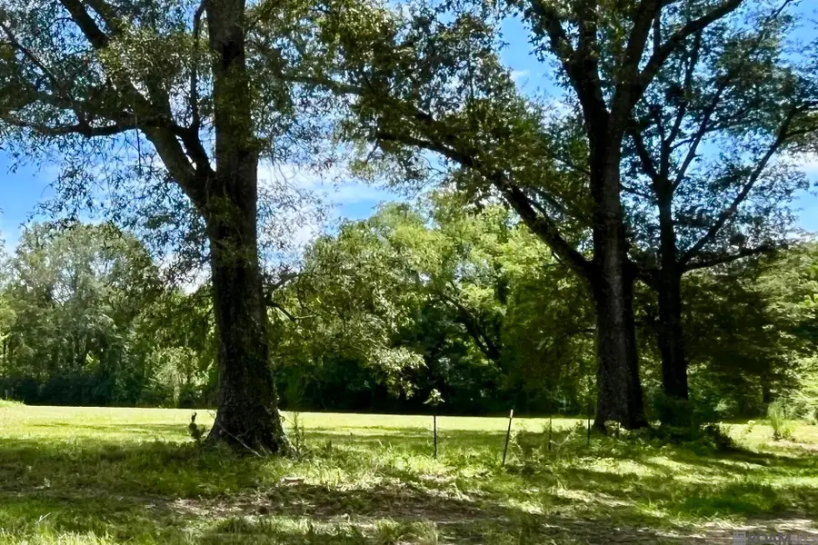 05 Hokaday Rd, Slaughter, LA 70777 - #2