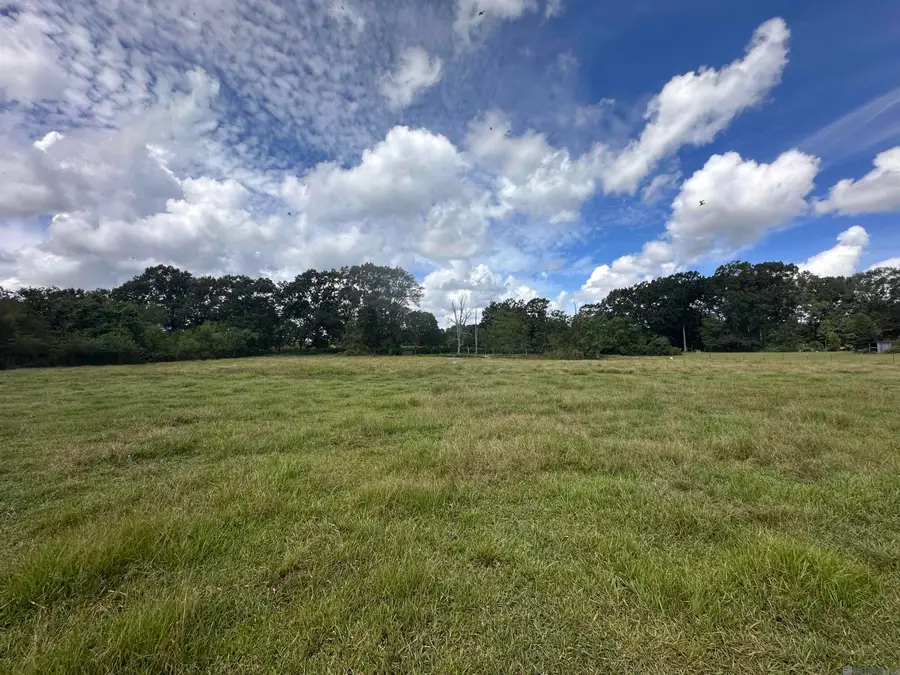 65623 Wilcox Rd, Kentwood, LA 70444 - #3