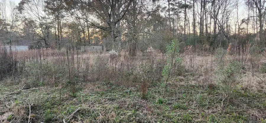 8755 Rome Dr, Central, LA 70818 - #3
