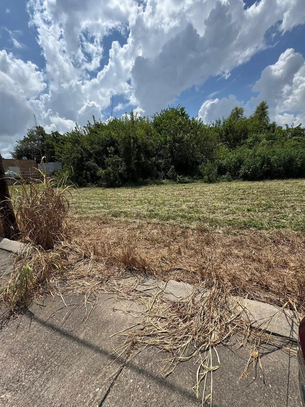 8144 Gum St, Houma, LA 70364 - #1